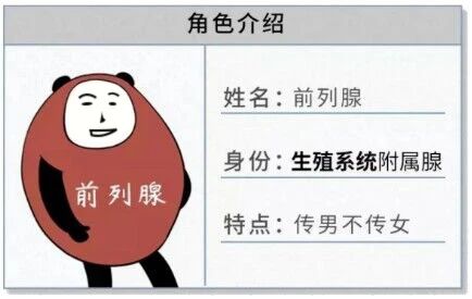 181a4e2fb24cb4b8a4b2e28f2a08ef58.jpg