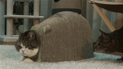 fa7ea0c55d27f41e6a68a6ed63db7675.jpg