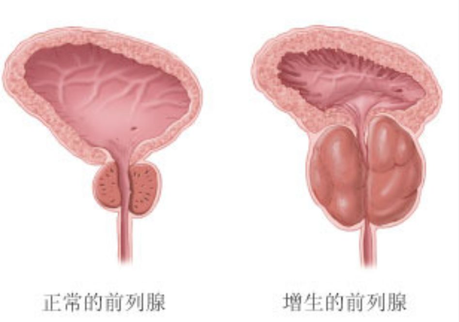 9e2c63c913ebb6e5e3069315ed557ccf.png