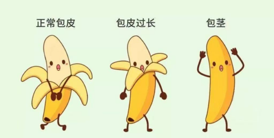 fc8b513ac14b61eae314e8d4622065c8.png