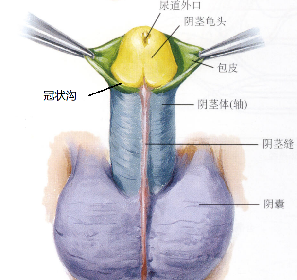 bdabff6c1326f9f5951f74a3ba7c614b.png