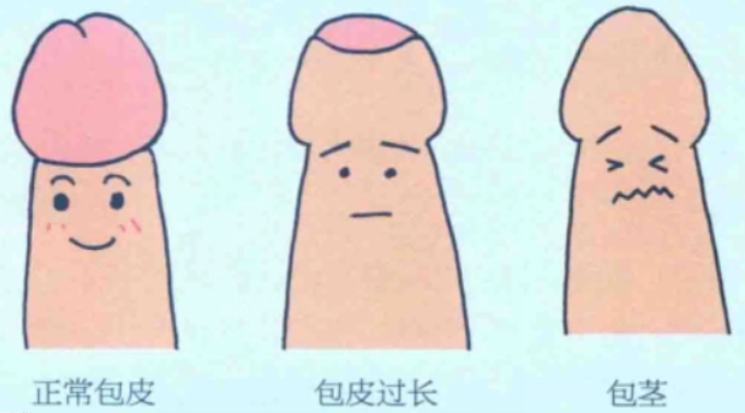 dff736c0cb98b6976ed930ba1549ea09.png