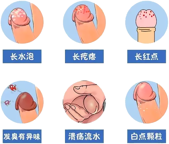 b7214202c1bc0698c1efe9611a636e7b.png