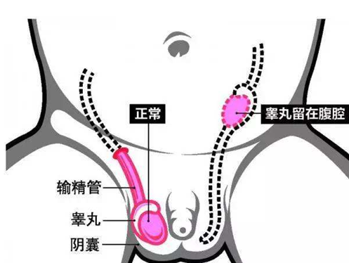 a9f7ddcc8200e20311a14b989cb63183.png