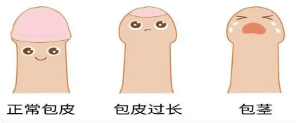 a228ec46c7db864e0fd5094a42339305.png