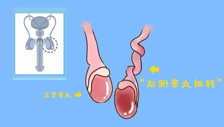 06c4aa90f801e44c44e57c6fda5f4d2e.jpg