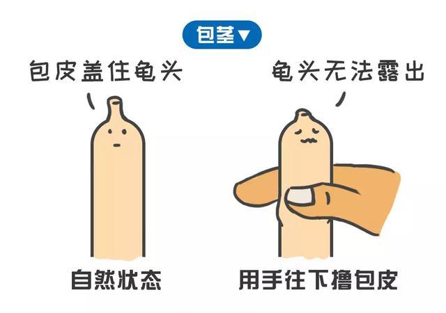 41430920e5627c8a8d4c58e0e49ac55d.png