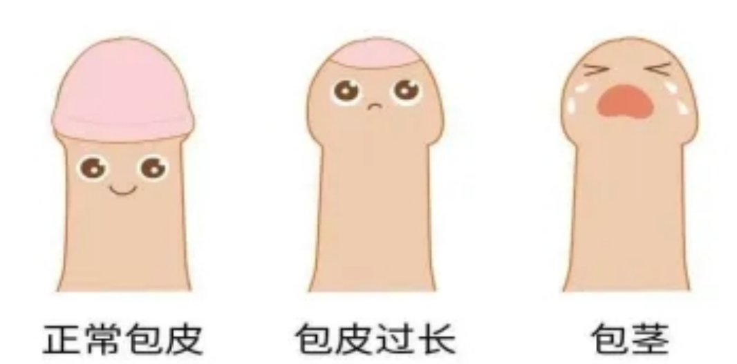 218bba15a63c48869fe68bccd794d5b3.png