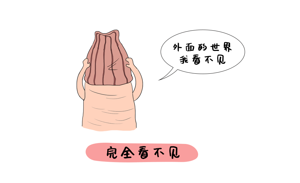 d45df2a7286e684496f09fd9f13f9f96.jpg