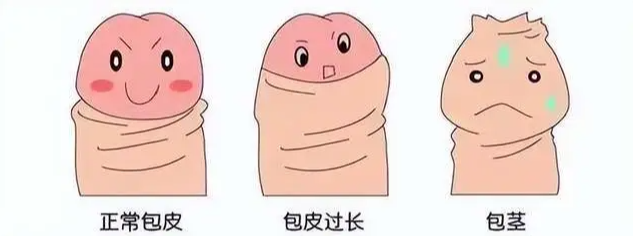 073a6c4faa785447543a9f082c359f11.png