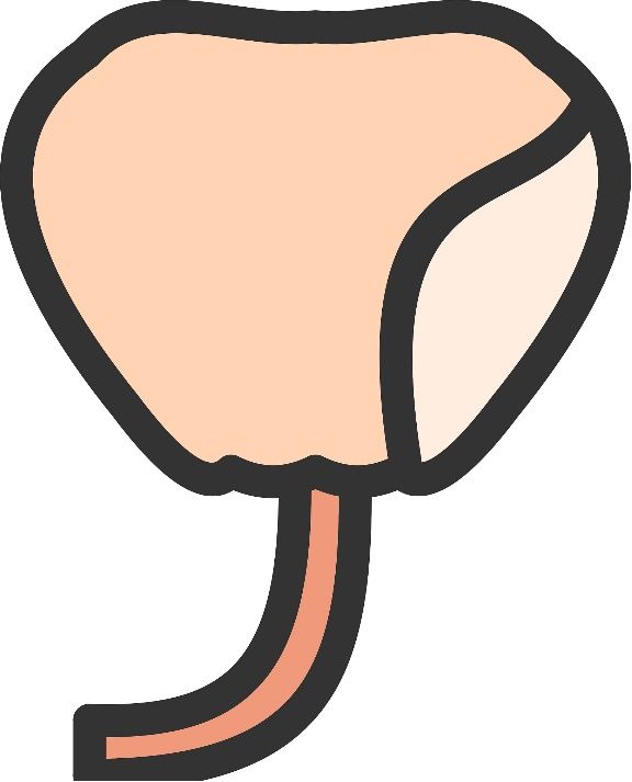 633e4812b201878b7f5b7636e4ad59e7.png