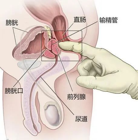 e1e9d8f9cd5f76271686684936c42ddd.jpg