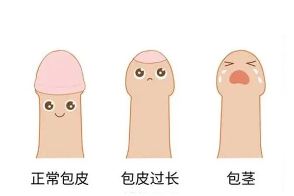 5554bace6fccaad603a0f8692bd47504.jpg