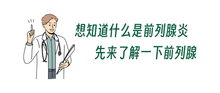 a22990b38c73ce80d7fd39353587a212.jpg